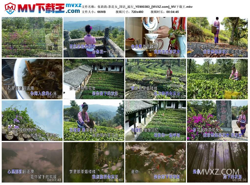 张莉莉-茶花女_国语_流行_YE900383